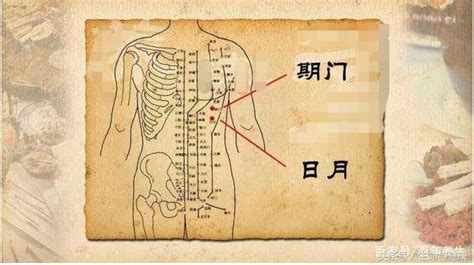 旗門穴|期門穴：疏肝理氣，深呼吸養肺